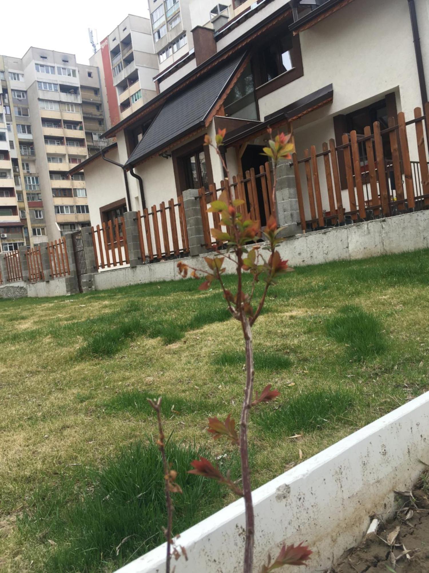 Sofia Family House - Free Parking — Photos 3