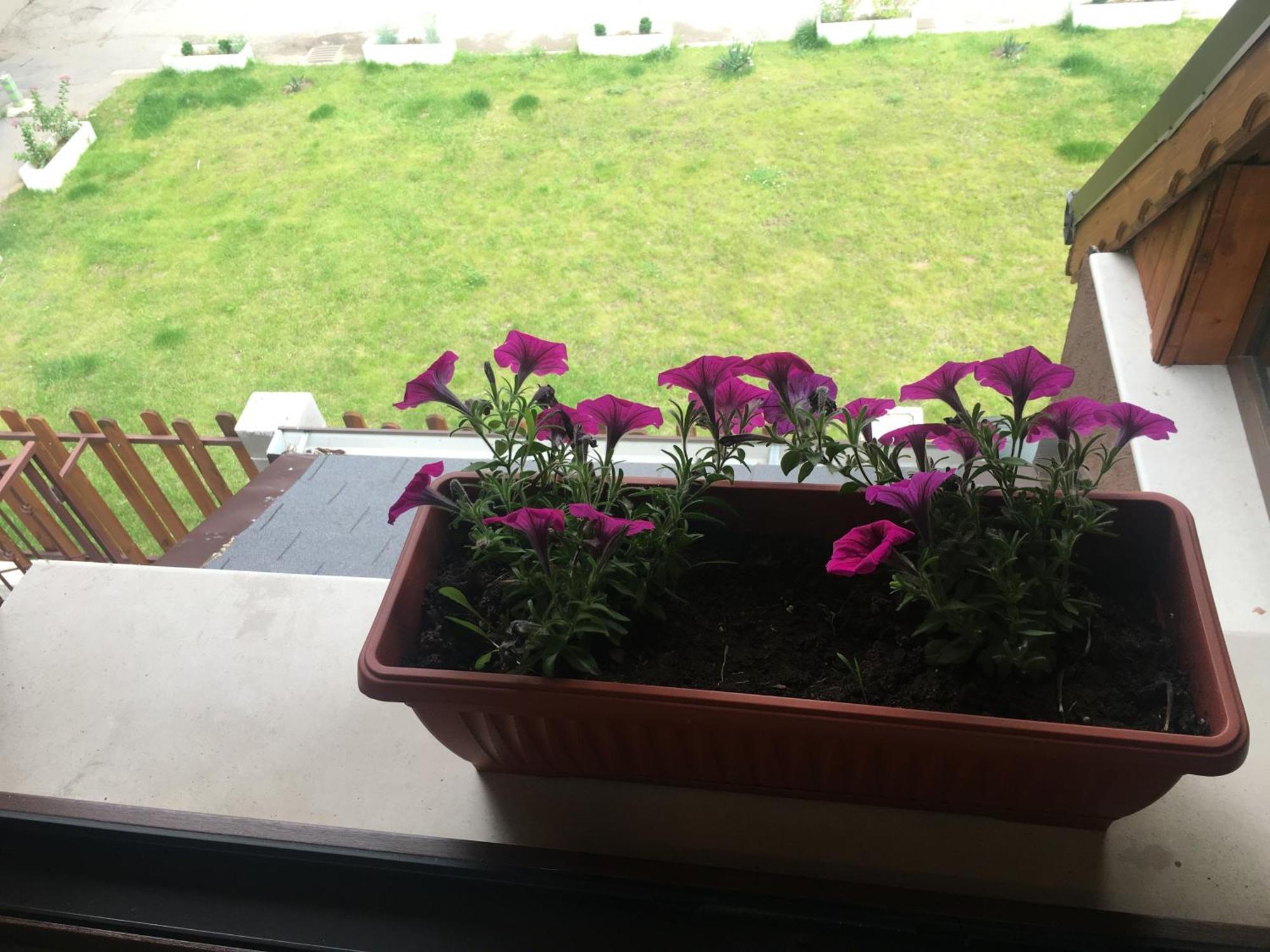 Sofia Family House - Free Parking — Photos 1